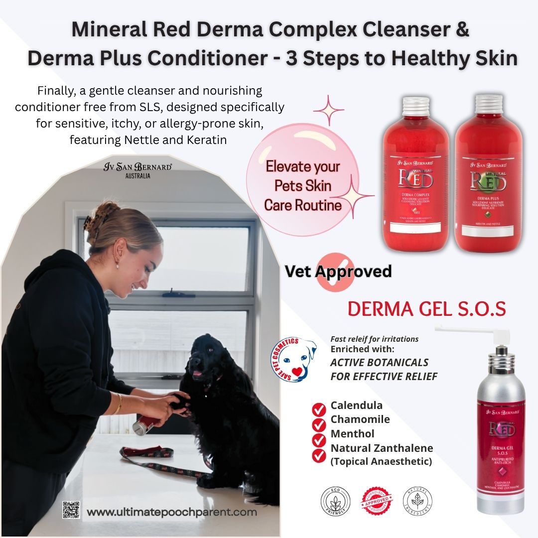 Understanding Sebum
