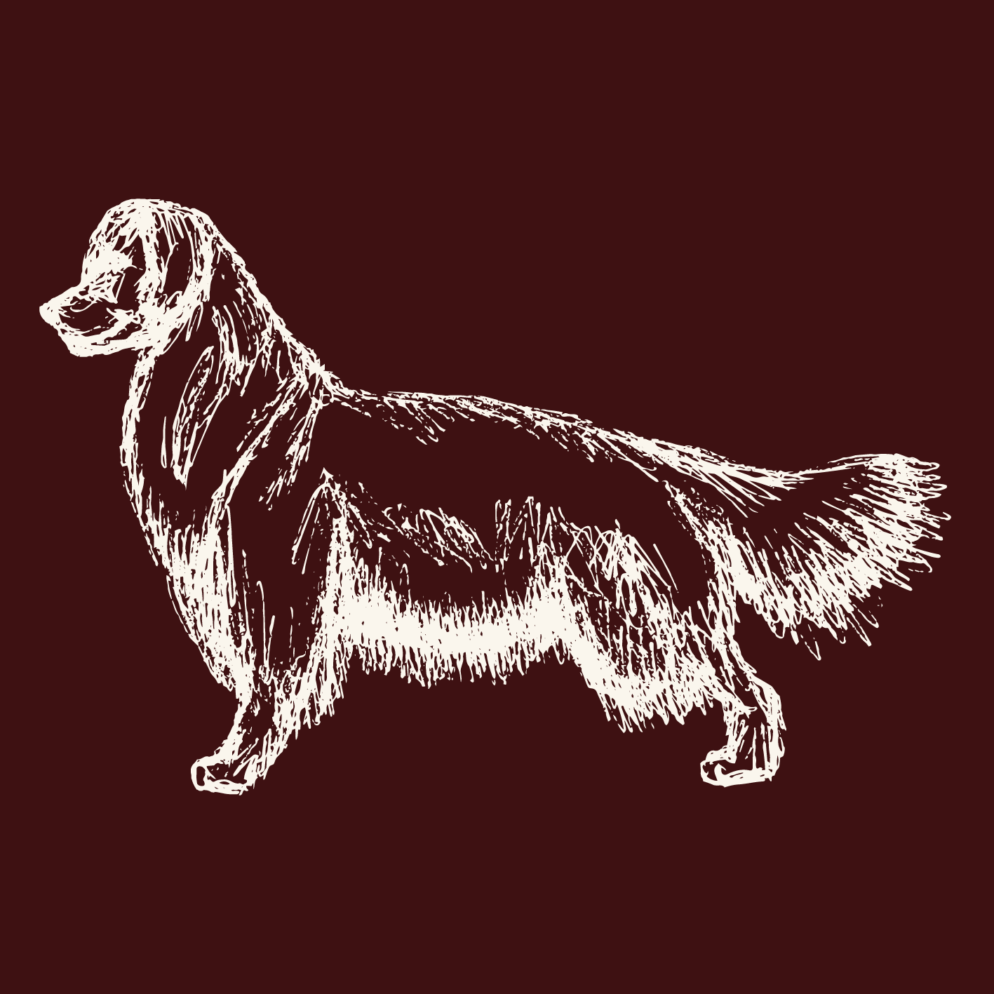 NATURAL & MEDIUM COAT