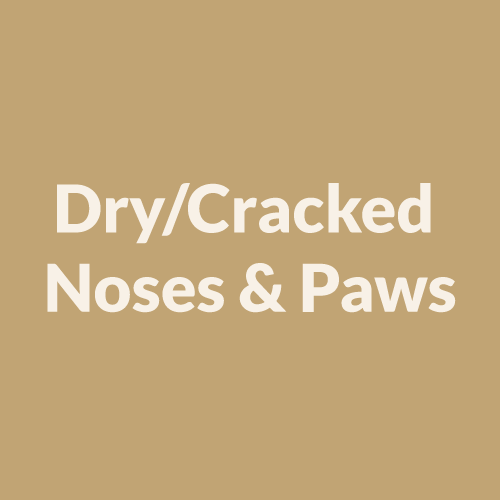 Dry/Cracked Noses & Paws
