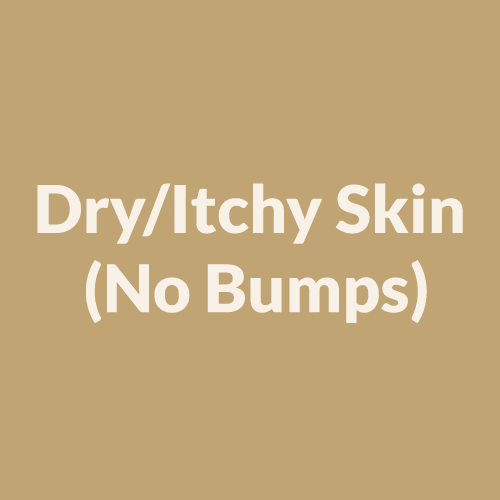 Dry/Itchy Skin (No Bumps)