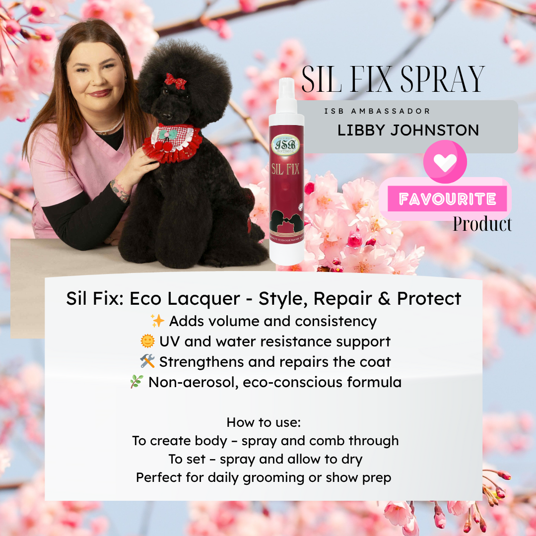 SIL FIX Holding Spray 250ml