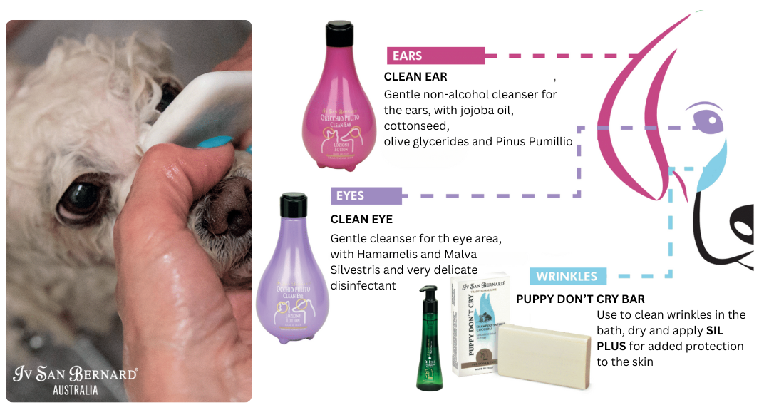 CLEAN EAR Lotion 250ml