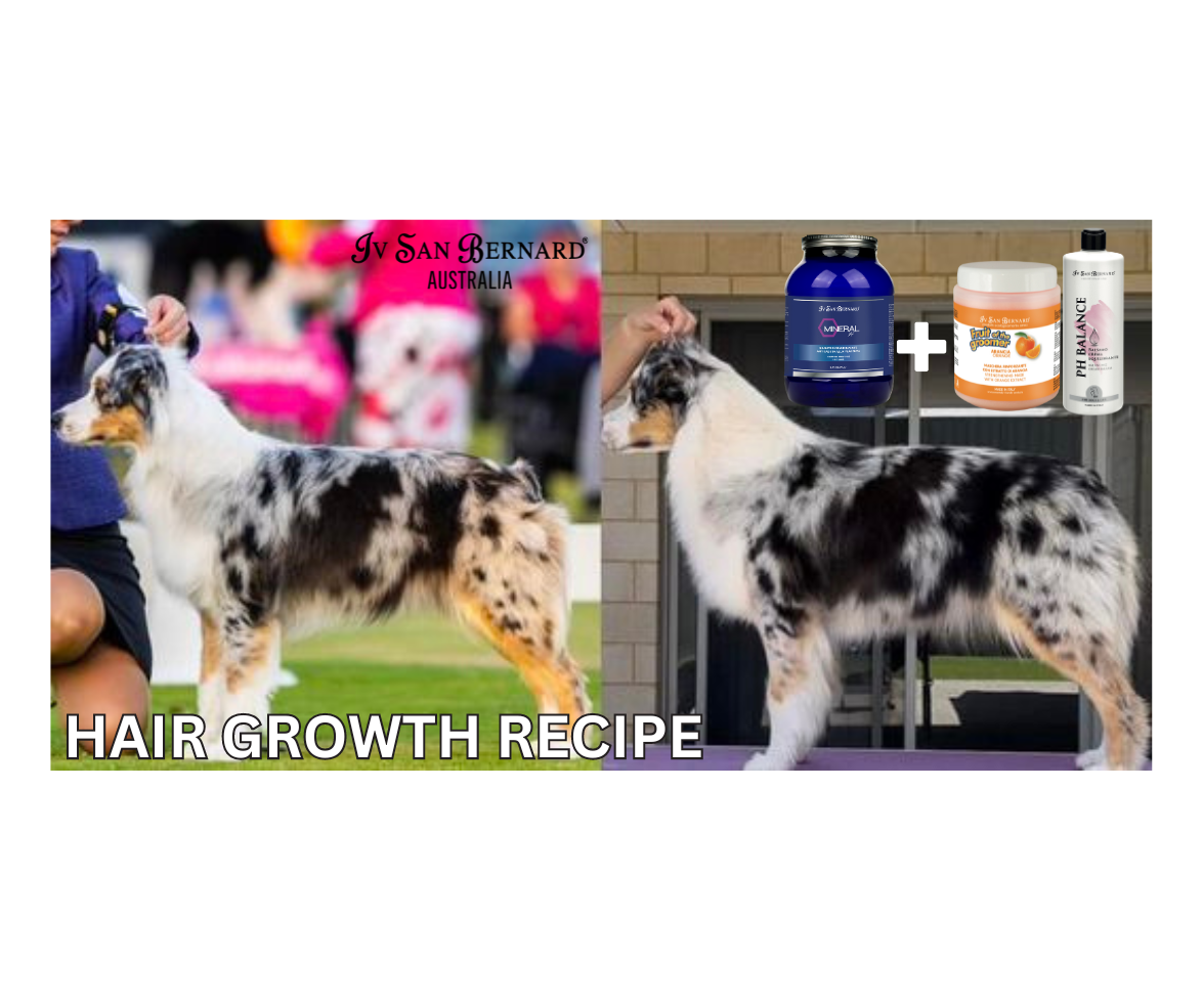 Hair REGROWTH & IMPROVEMENT Bundle Save 10%