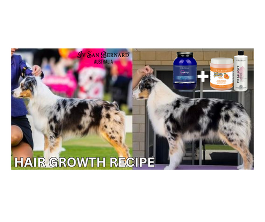 Hair REGROWTH & IMPROVEMENT Bundle Save 10%