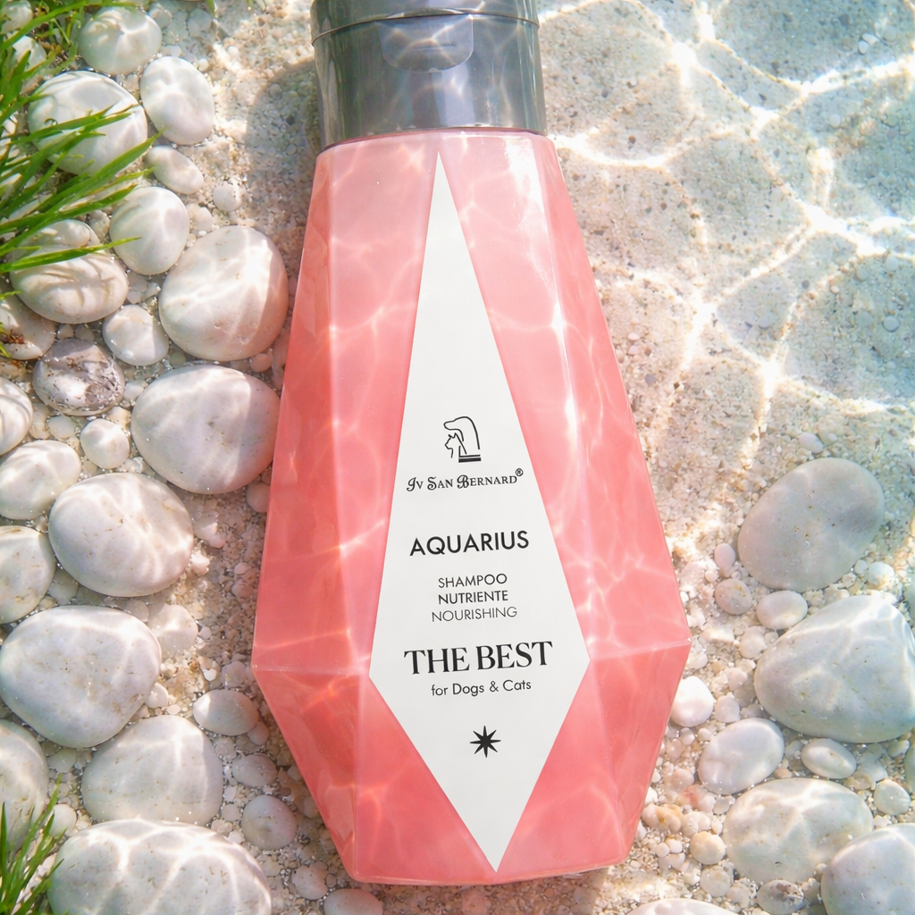 Aquarius MINI's Pack (2 x 100ml)