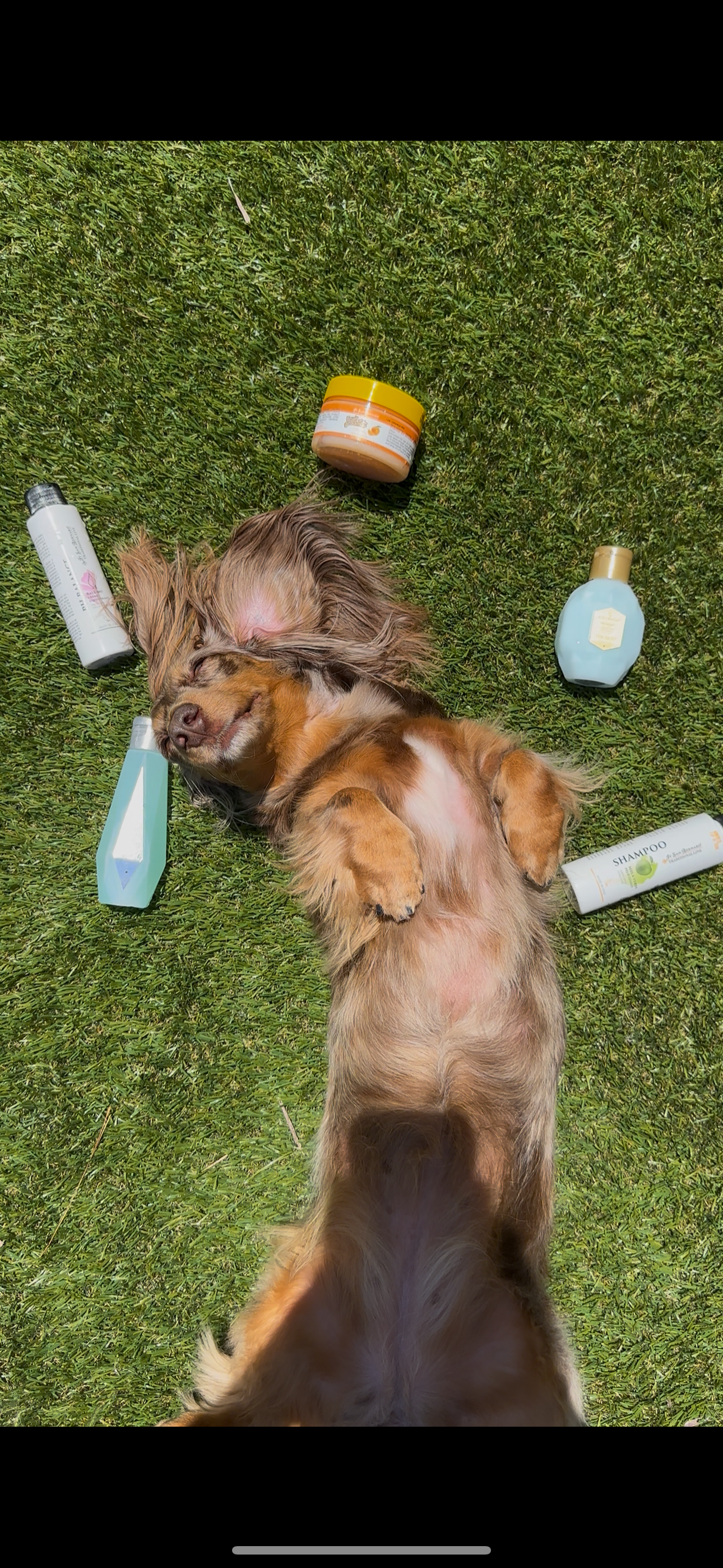 Pegasus MINI's Pack (2 x 100ml)