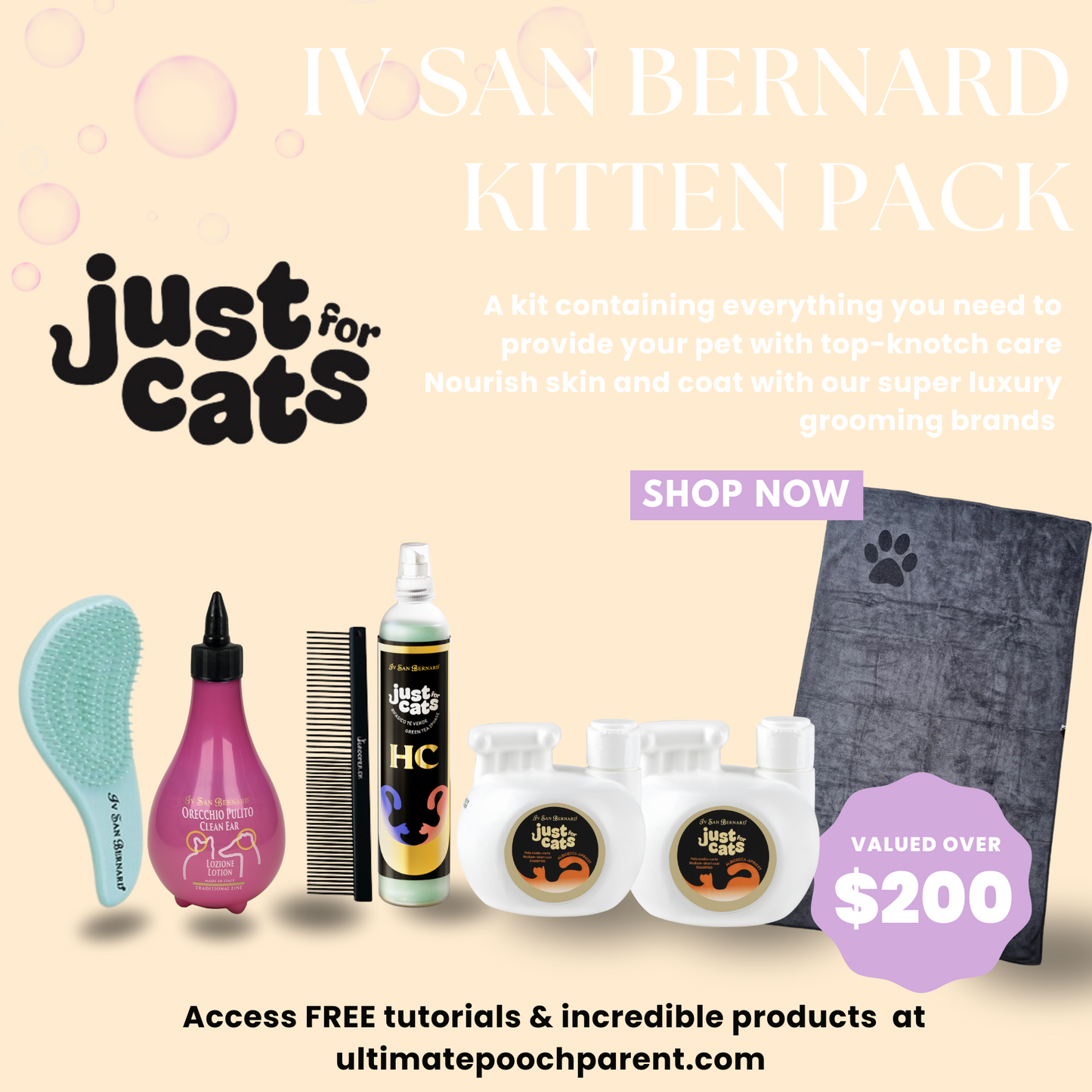 Kitten Packs