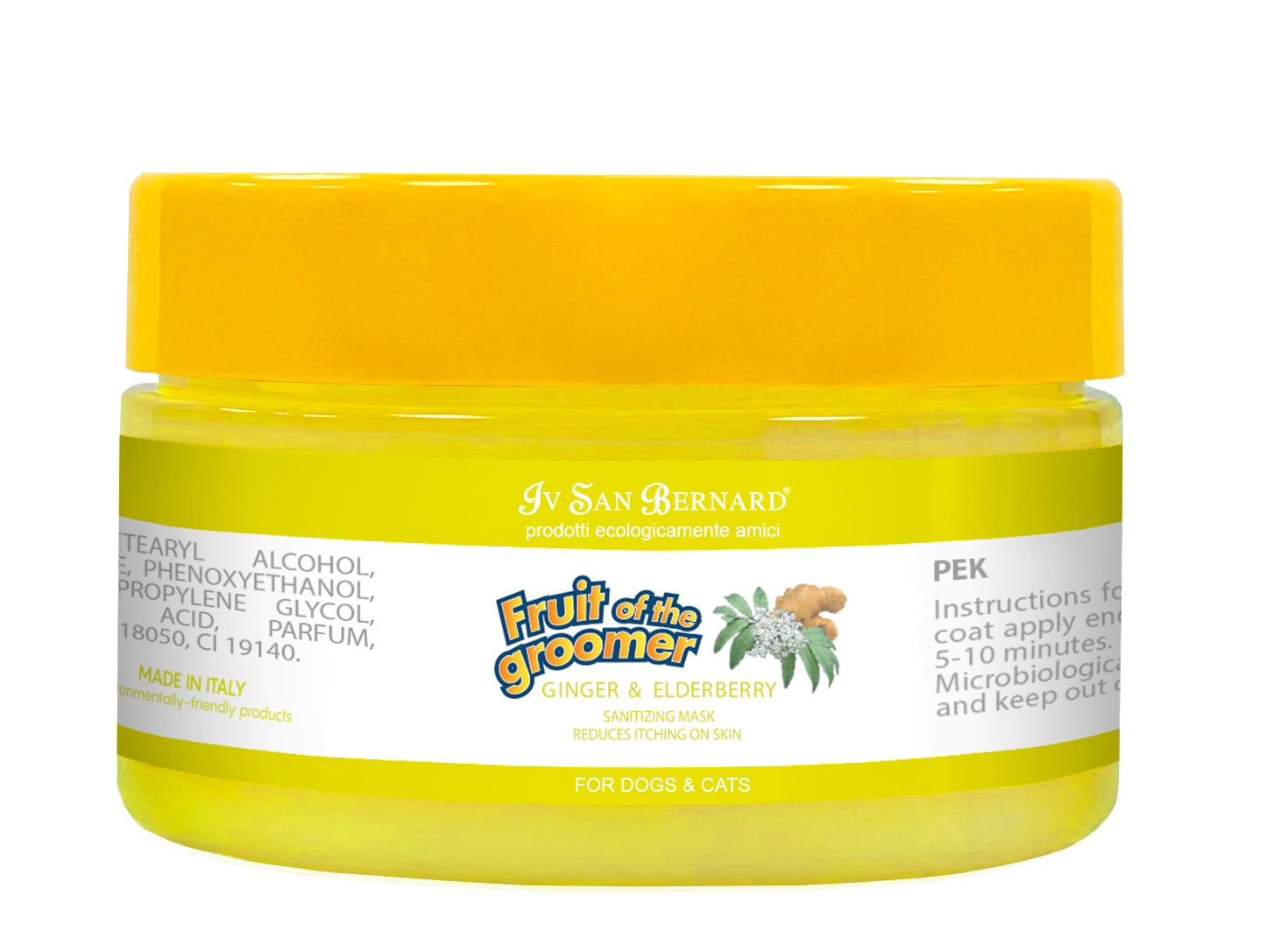 Fruit of the Groomer Ginger & Elderberry MINI'S Pack (2 x100ml)