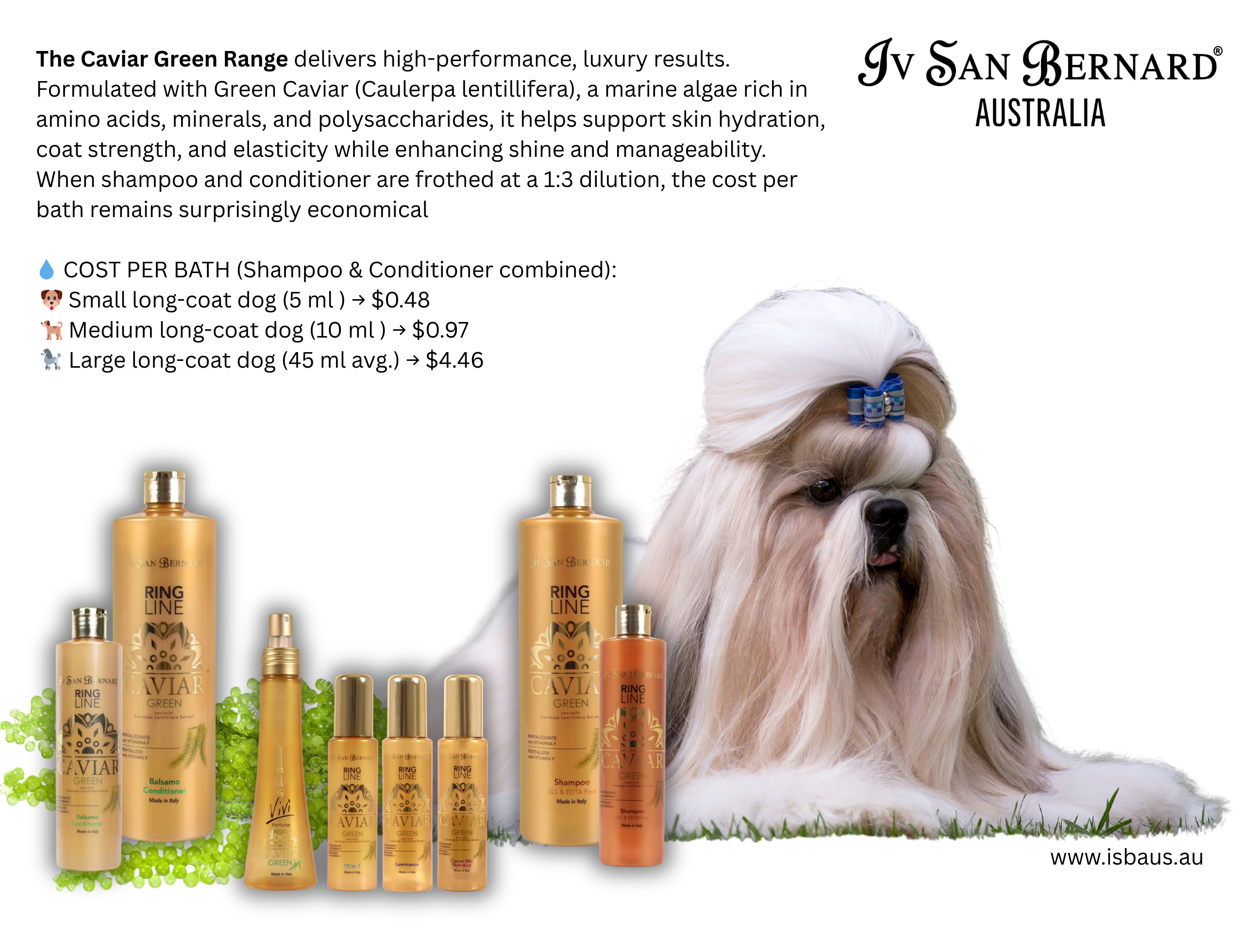 Caviar Green RING LINE SHAMPOO