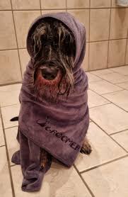 Hyper Adsorb Drying Towel