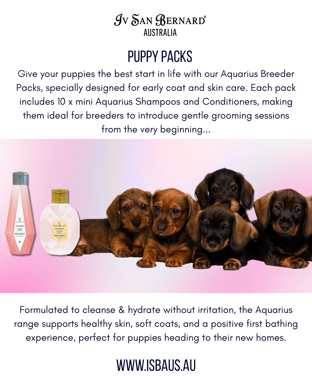 Puppy Packs designed for Breeders 10 x Aquarius Shampoo & Conditioner