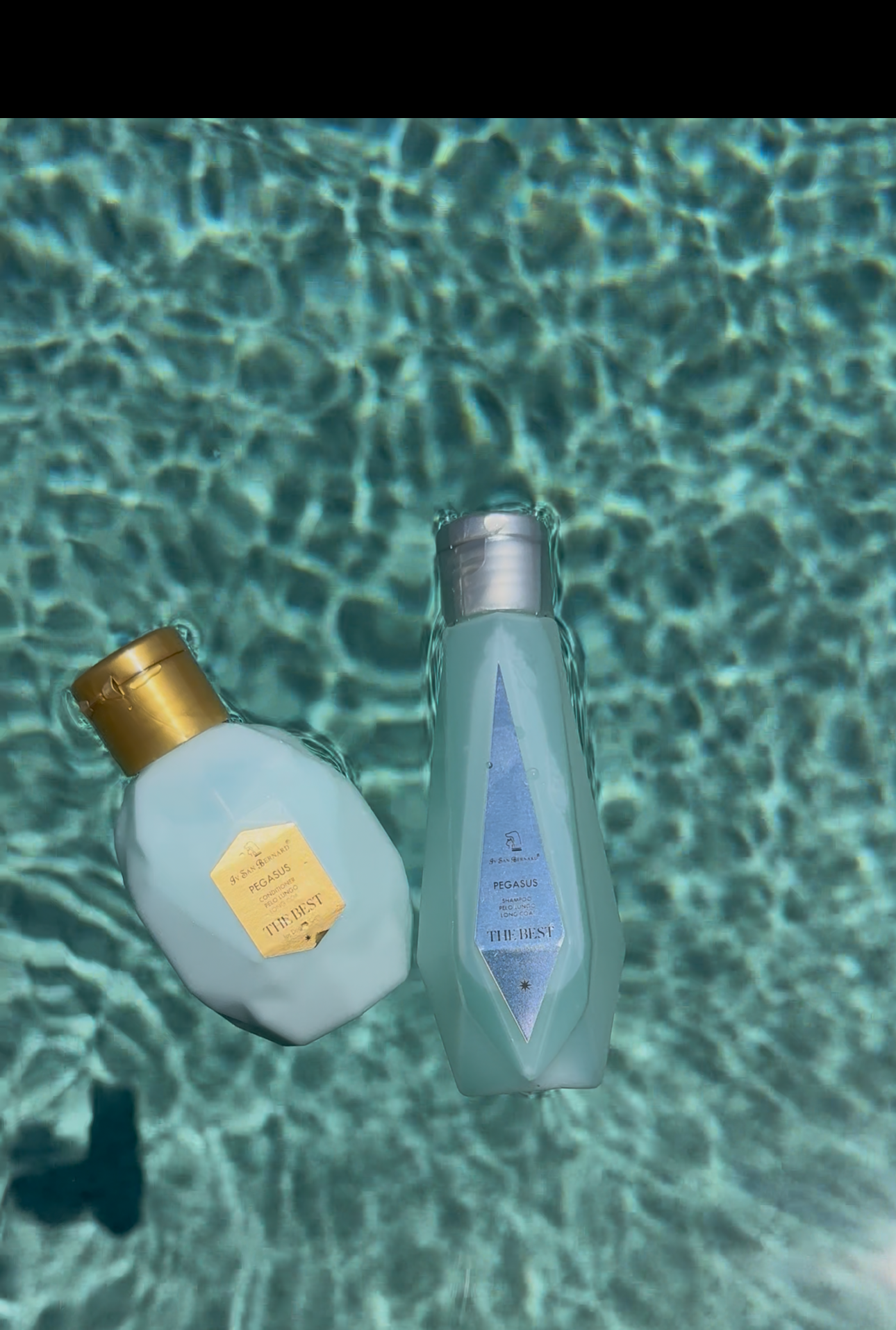 Pegasus MINI's Pack (2 x 100ml)