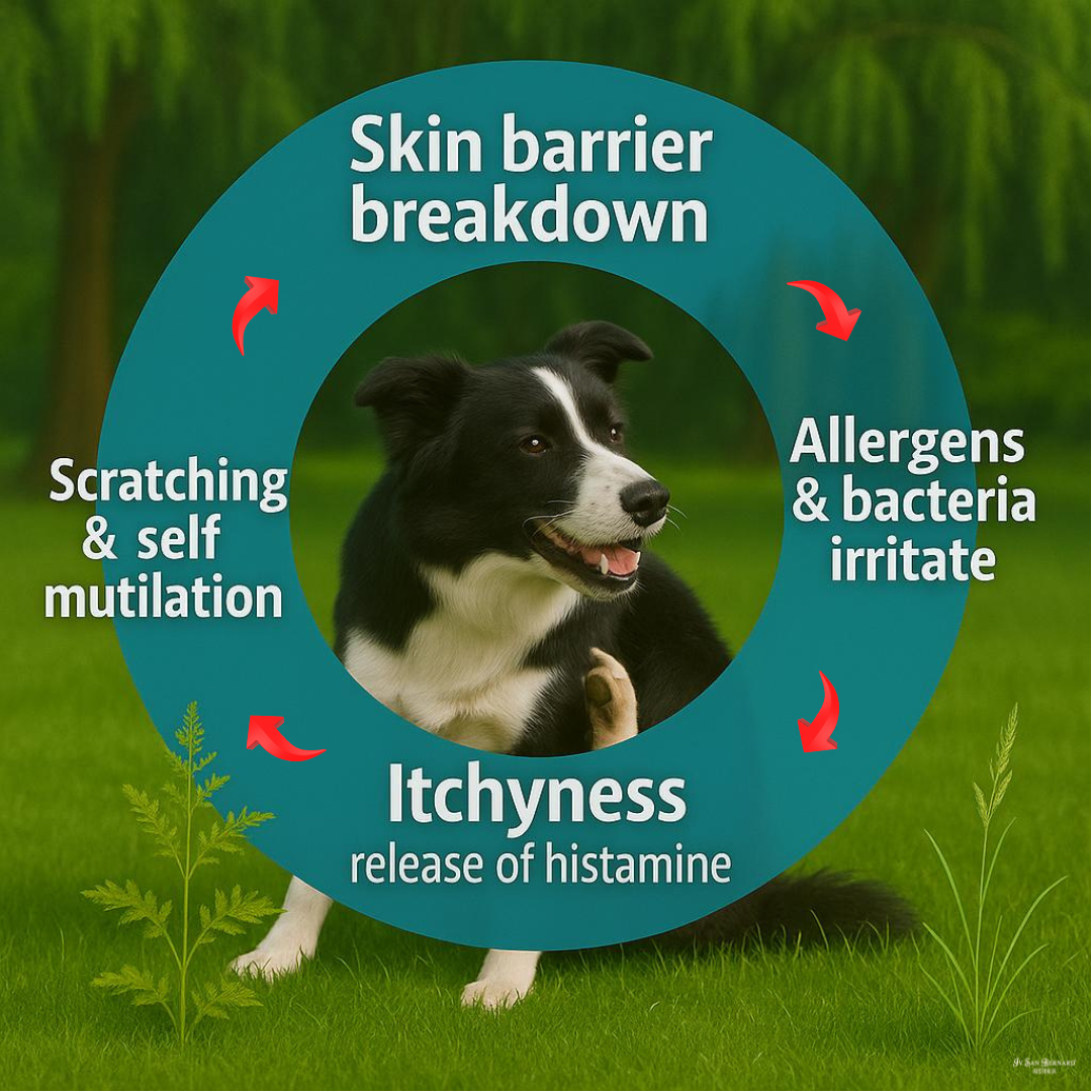 Pollen Soup - By Naomi Conroy