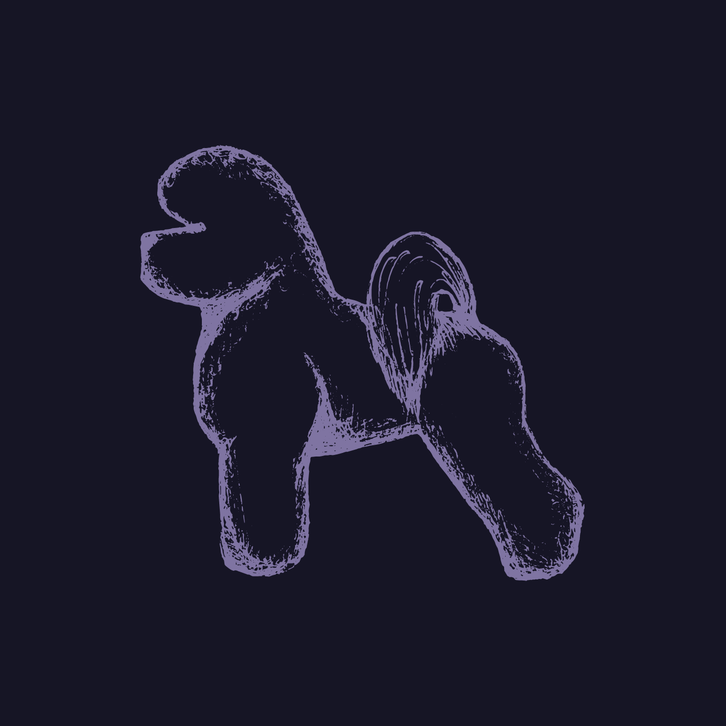 CURLY & LOOSE CURLY COAT