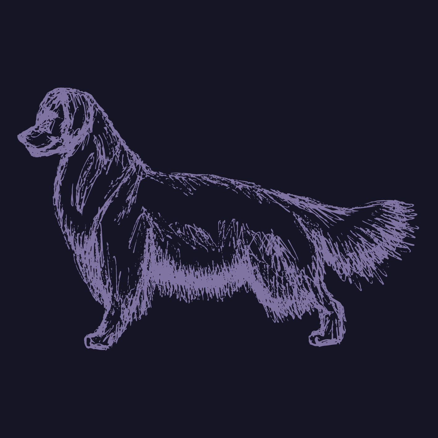 NATURAL & MEDIUM COAT