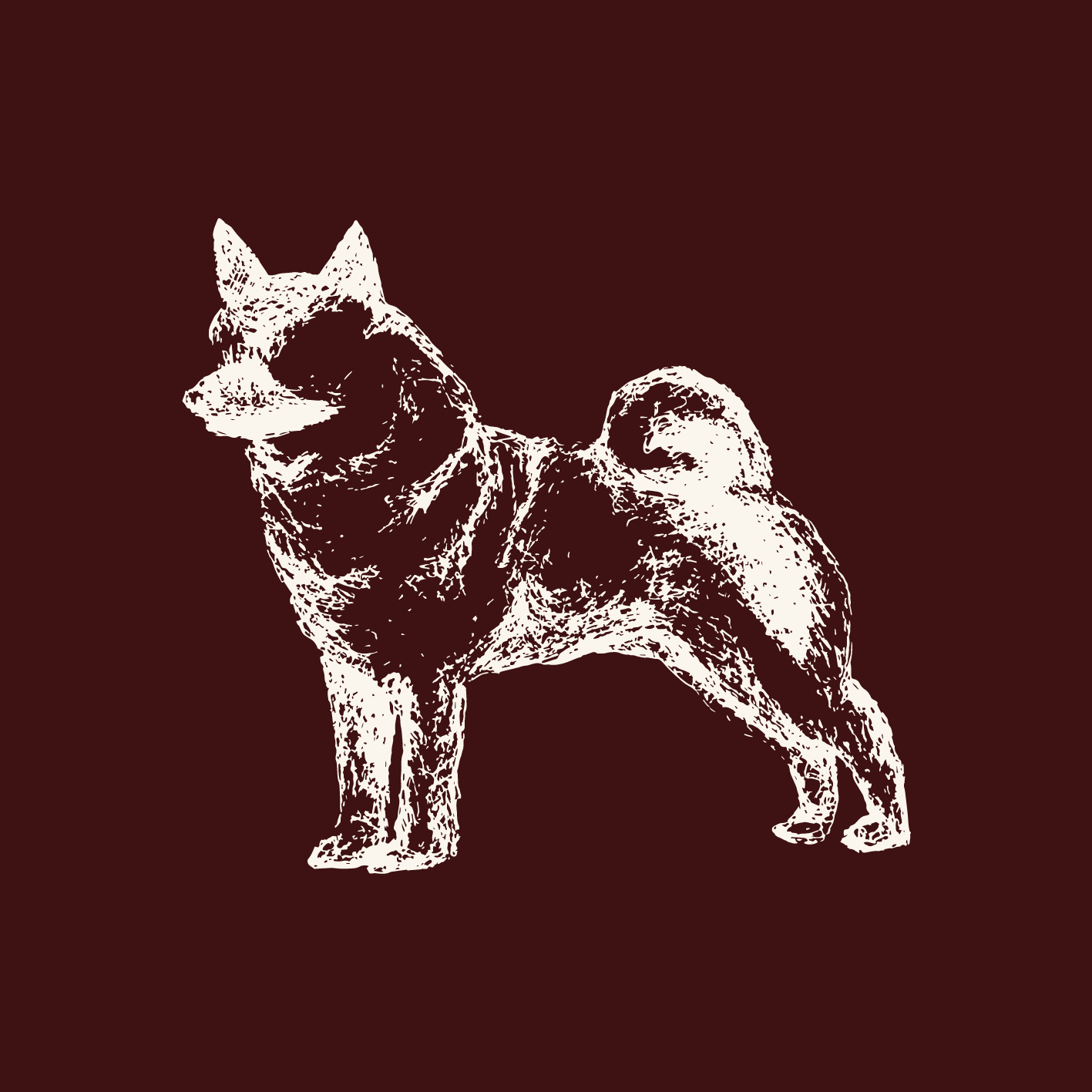 NORDIC COAT