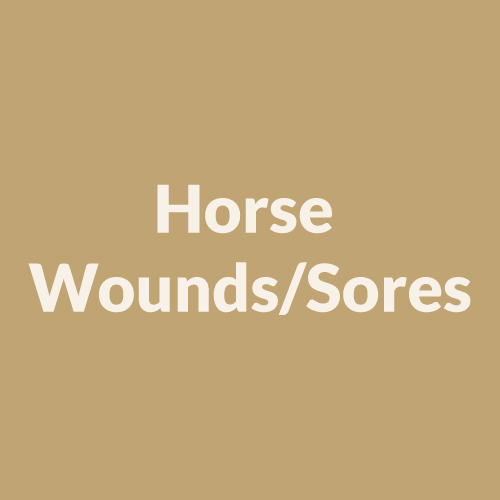 Horse Wounds/Sores