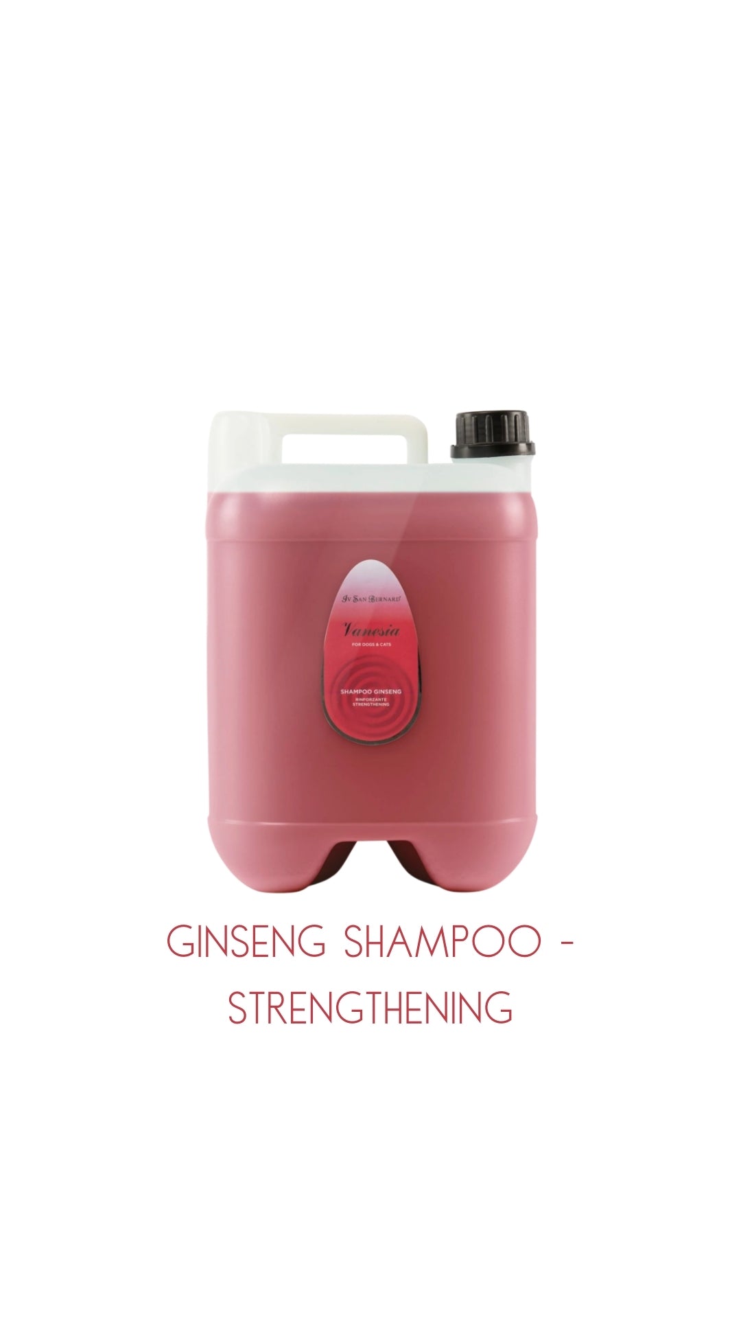 Vanesia GINSENG SHAMPOO Strengthening 10Lt with Pump