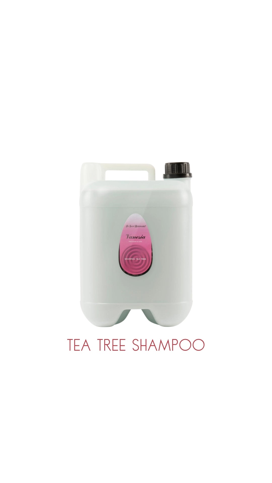 Vanesia TEATREE SHAMPOO 10Lt with Pump