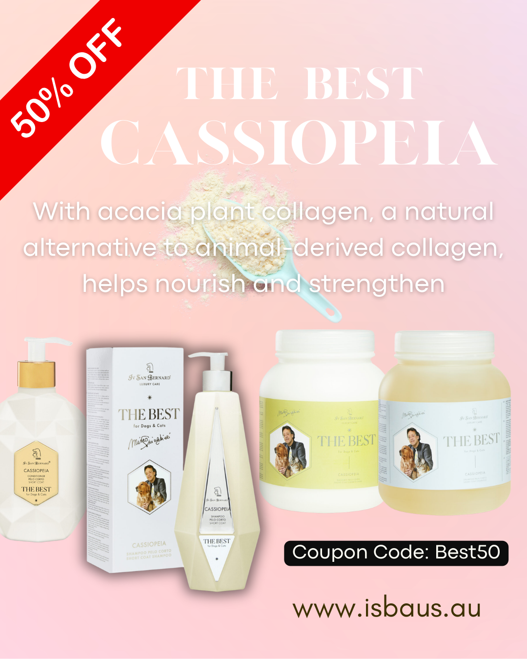 The BEST CASSIOPEIA Range with For Short Coats