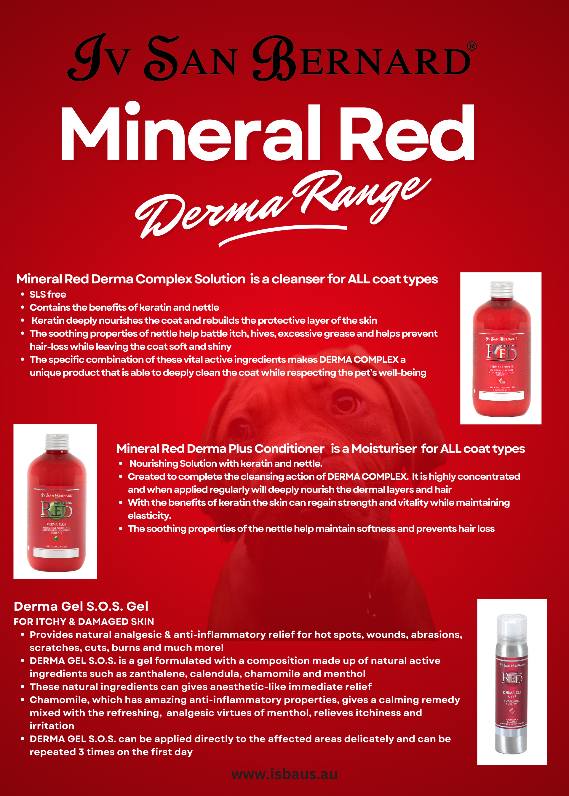ISB MINERAL RED Derma Plus CONDITIONER MASK image 1