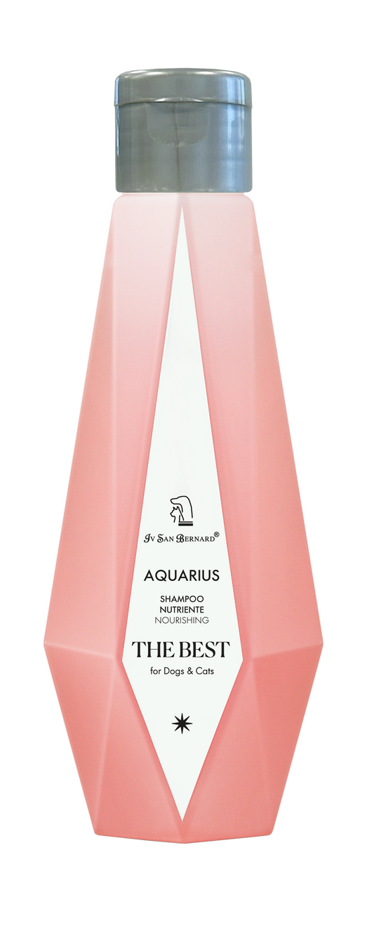 Aquarius MINI's Pack (2 x 100ml)