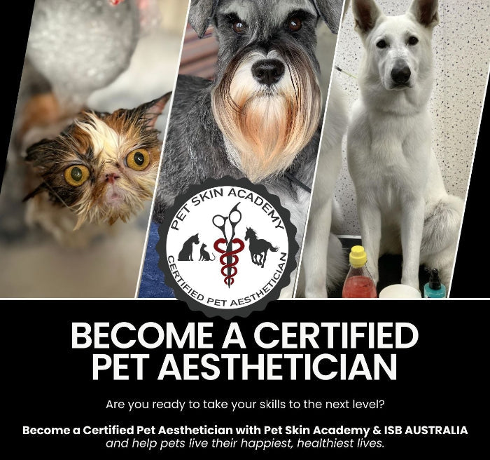 Advertisement for Pet Skin Academy and ISB Australia's Certified Pet Aesthetician program with images of pets.