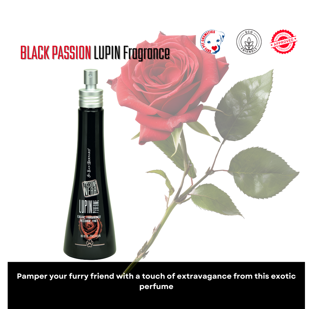 Black Passion LUPIN Fragrance 150ml