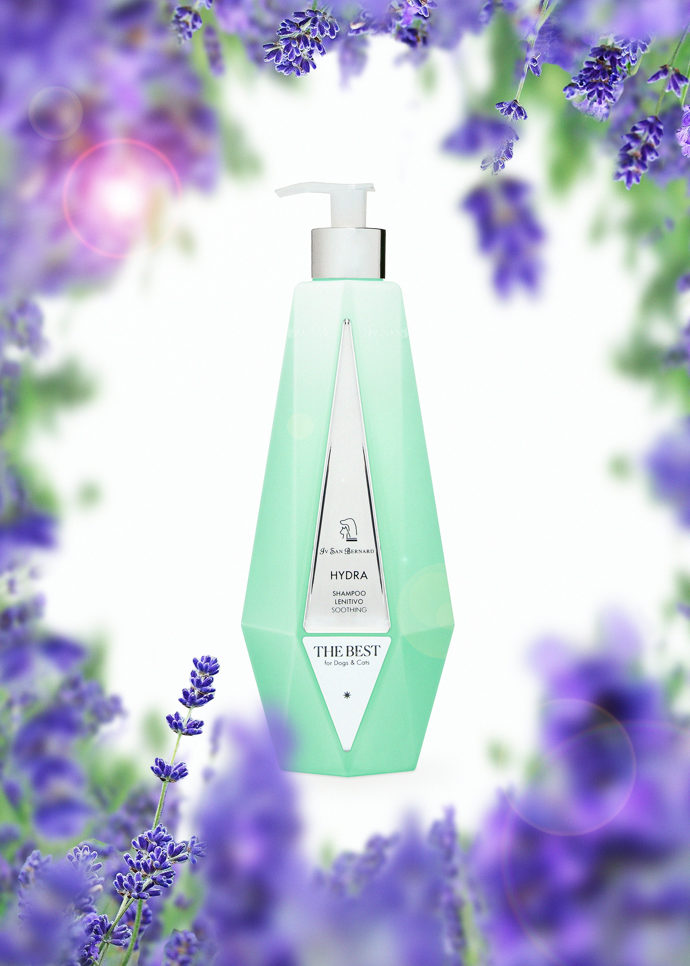 50% off The Best Range 500ml - short dated stock