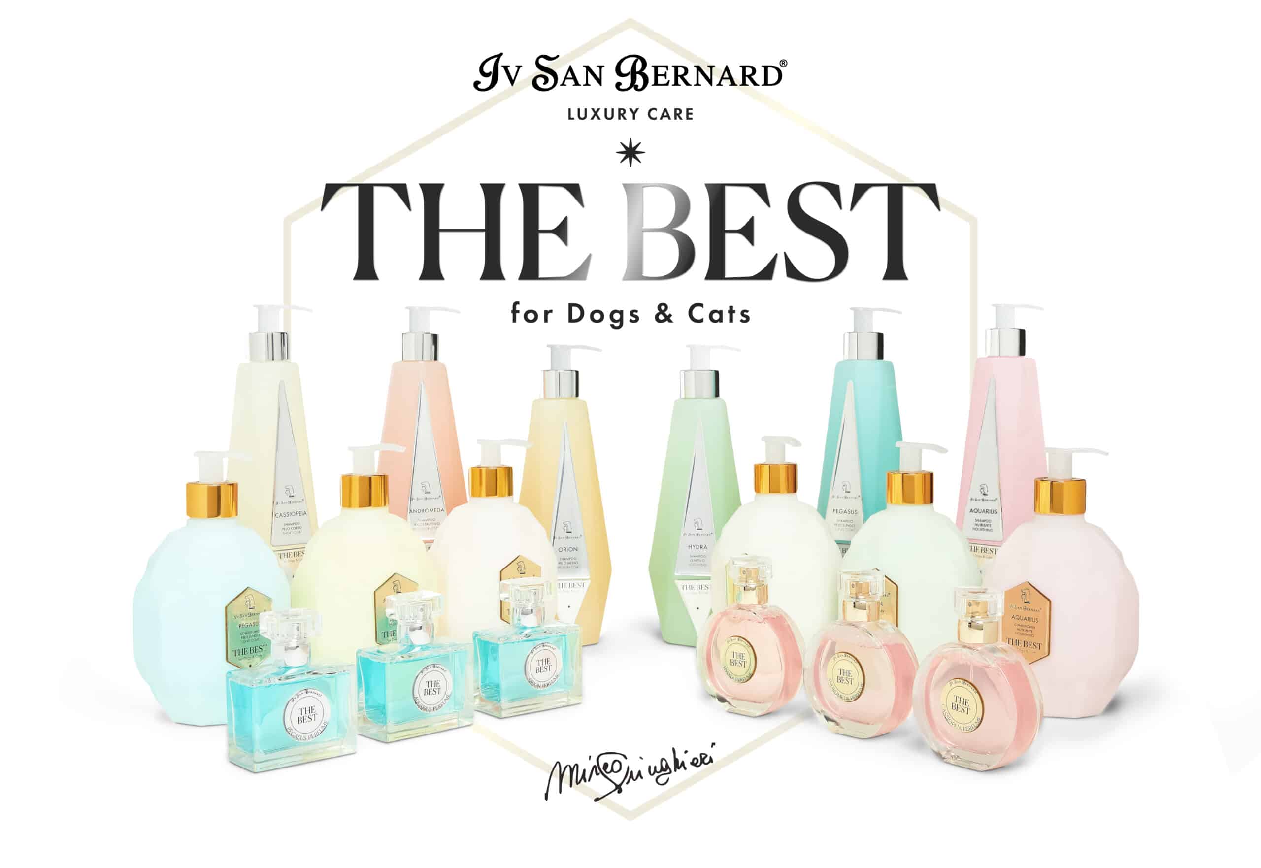The BEST Line Fragrances 50ml