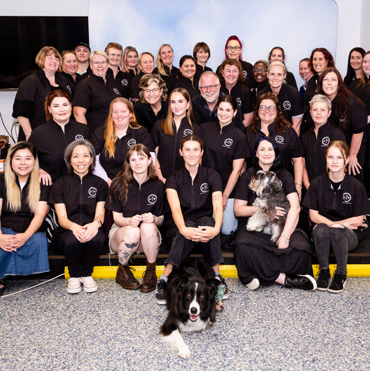 MODULE 3 WORKSHOP - QLD