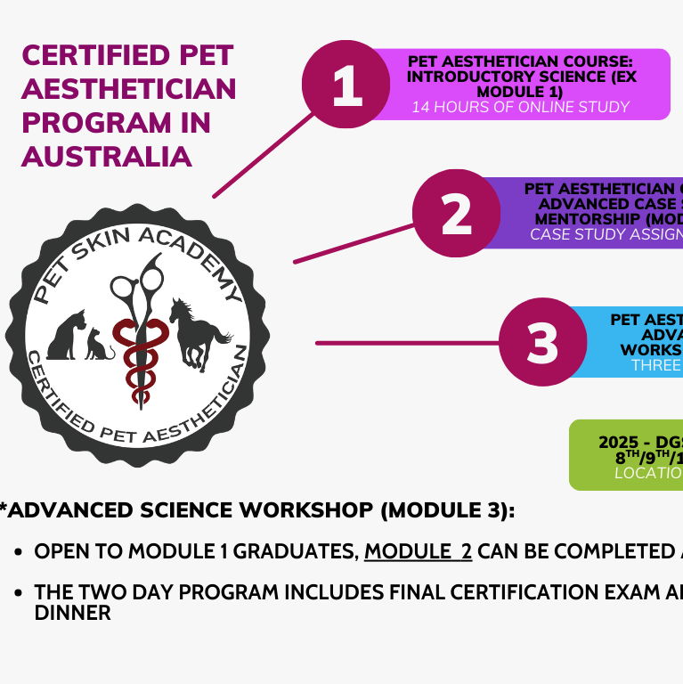MODULE 3 WORKSHOP - QLD